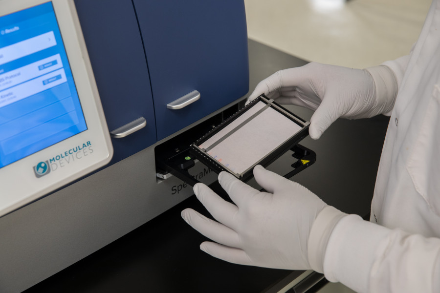 ScanLater™ Membrane Holder for holding a western blot membrane sample 