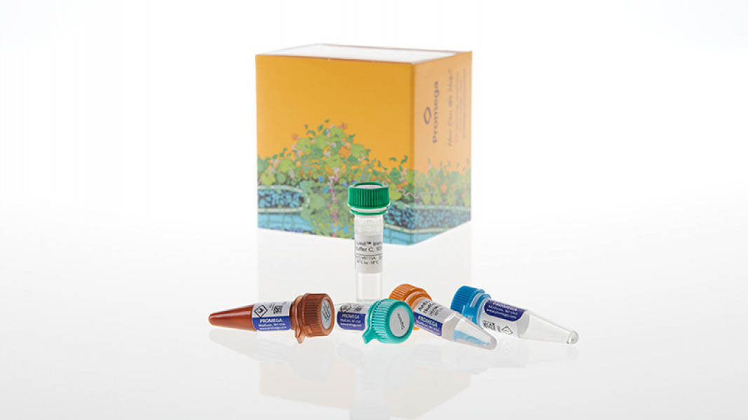 Lumit Immunoassay Lysis and Detection Kit