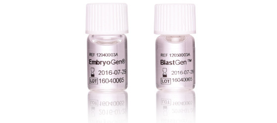 Embryogen/BlastGen