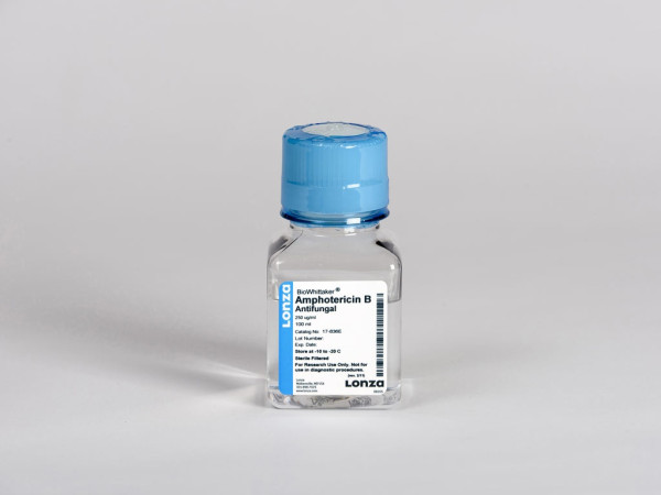 Amphotericin B,antifungal 250ug/ml,100ml