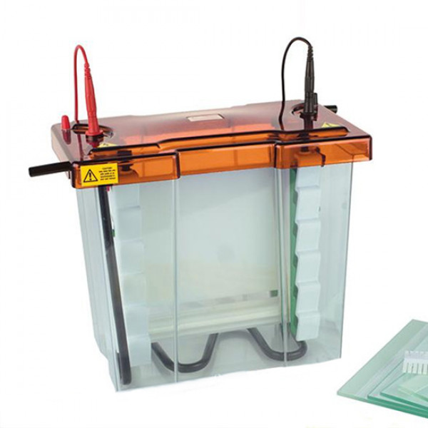 Maxi Z Dual Vertical Gel Tank 20x20cm