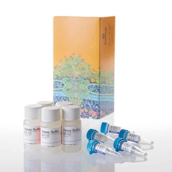 CellTiter-Fluor Cell Viability Assay