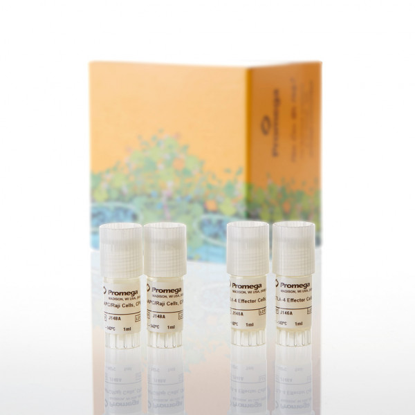 CTLA-4 Blockade Bioassay, Propagation Model