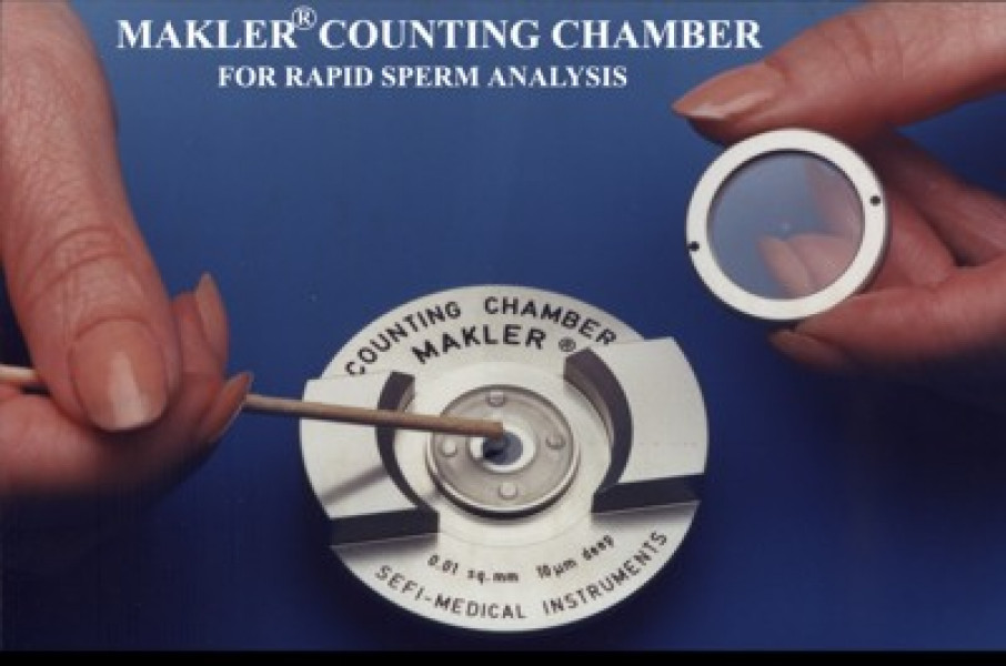 Cover Glass for Makler Chamber