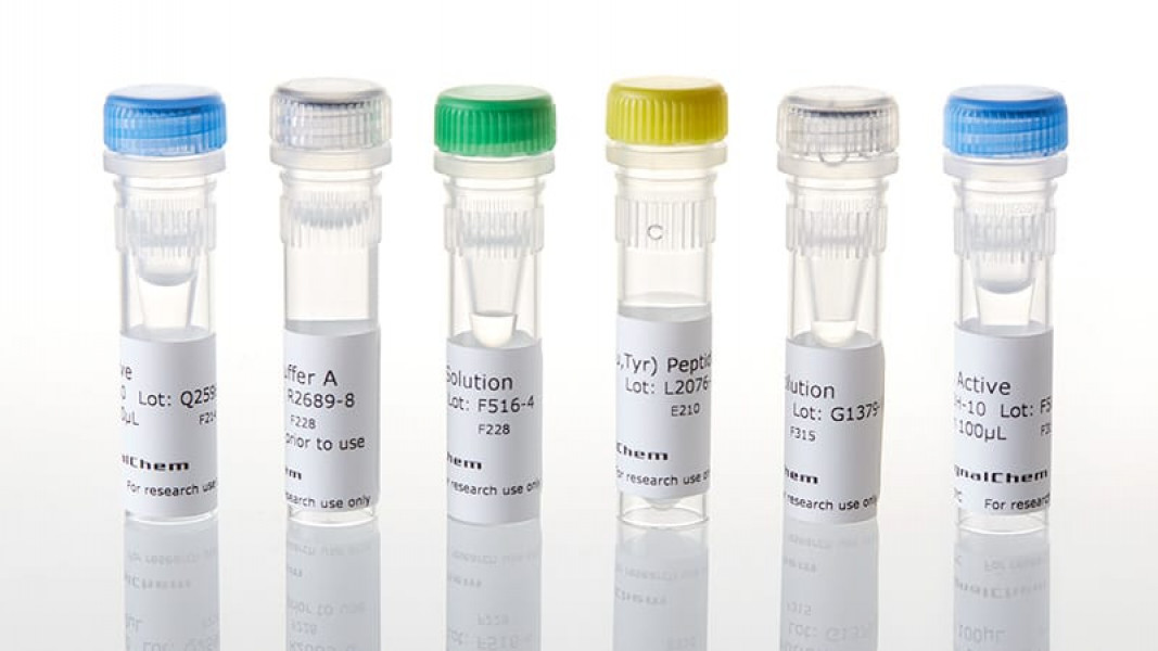 ADP-Glo™Assay+EGFR (C797S L858R) KES