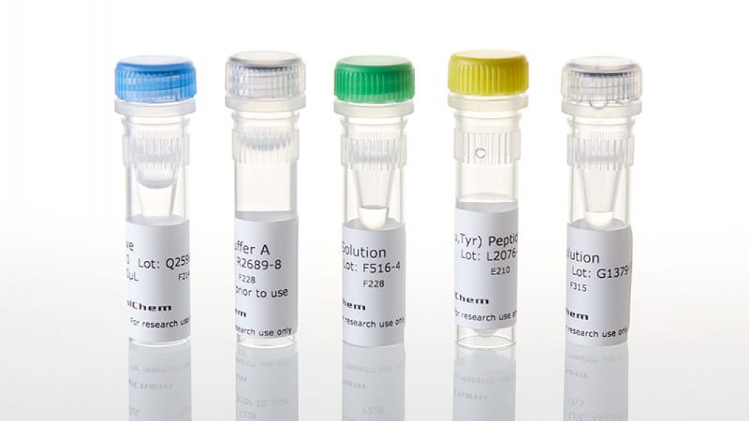 TEC Kinase Enzyme System