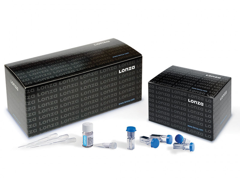 Cell Line Nucleofector® Kit V