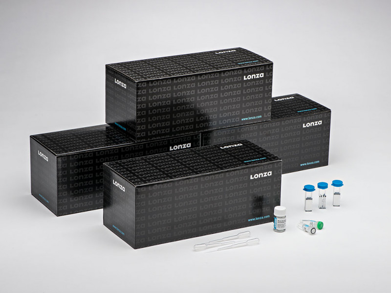 100 RCT Cell Line Kit L