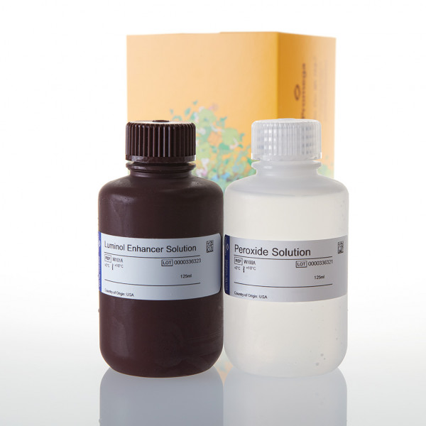 ECL Western Blotting Substrate